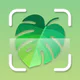 Plantid: 植物識別AI