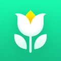 Plant Parent-Guia de Cuidados
