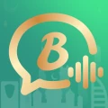 Bota - Voice Chat Party