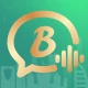 Bota - Voice Chat Party