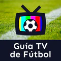 Calcio e TV: Le partite in TV