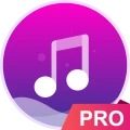 Music player - pro version