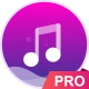 Music player - pro version