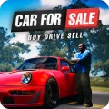 Car For Sale Simulator