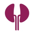 Dialysis of Drugs