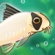 Pondlife — Fish, Frogs & More!