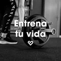 Entrena tu vida