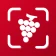Wine ID: Vinhos & scanner icon