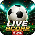 Football Match Live Scores