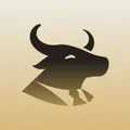 Simply Wall St