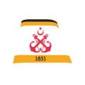 Şehir Hatları