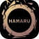 英単語ゲームHAMARU ハマる英語学習アプリ中学生や高校生 icon