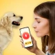 犬語翻訳アプリ: 犬の言葉がわかるアプリ