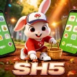 SH5Word Match icon
