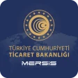 Mersis icon