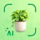 Piante AI: Scan e Cura