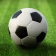 Mundial Football League icon