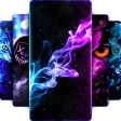 Canlı Duvar Kağıtları - WALLPS icon