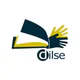 DILSE