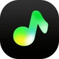 TuneCarry: Offline Music