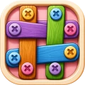 Unscrew Bolts Puzzle