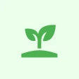 Verdy – YZ Bahçe Asistanı icon