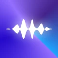 VoiceLog
