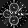 WFP 308 Business watch face