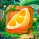 Lime Shots icon