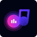 WaveFlow – Música sin conexión