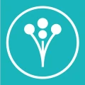 Wedding Planner by WeddingWire