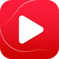 Riproduttore video - wTuber