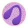 WBC Counter icon