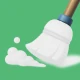 ZapZip Clean