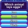 Trivia Crush icon