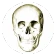 Anatomi Testi icon