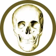 Anatomy Quiz Pro icon