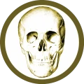 Anatomy Quiz Pro