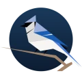 BirdNET Live