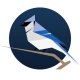 BirdNET Live