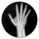Bone age icon