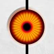 Sentry Pro for Tesla