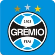 Meu Grêmio icon