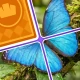 Jigsaw Drop: Solitaire Puzzle