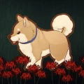 カゲボウシ