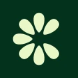 Clove: Import & Save Recipes icon
