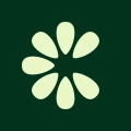 Clove: Import & Save Recipes