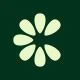 Clove: Import & Save Recipes