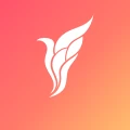 Flyrt: Aplicativo de Namoro