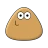 Pou
